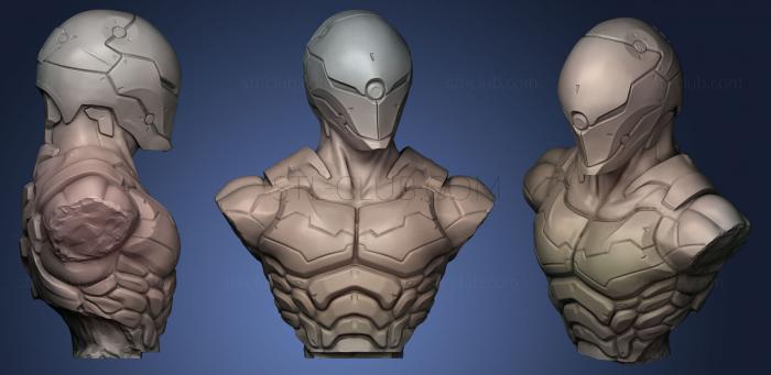 Cyborg Ninja Bust